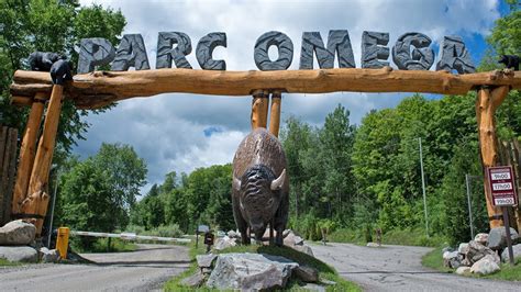 zoo omega canada|parc omega prices.